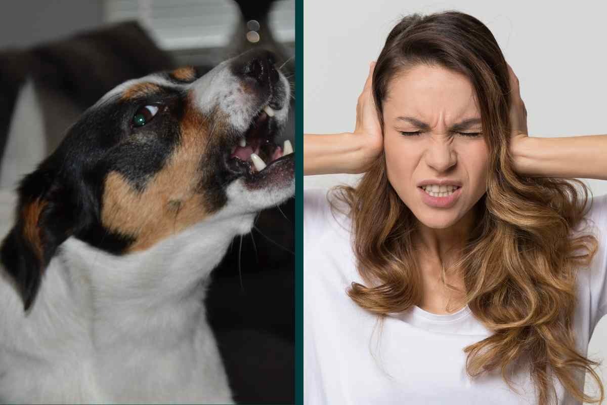 Cane e ragazza che tappa le orecchie