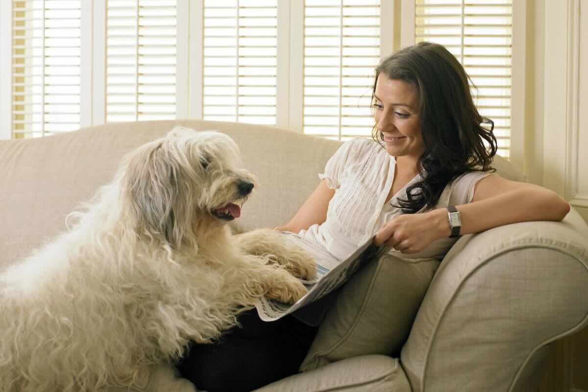 Ragazza, cane sul divano